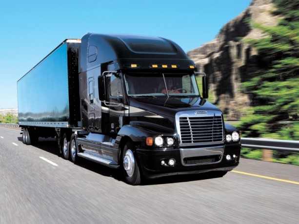 Накладки на фары Freightliner FLC 120 купить недорого с доставкой в Тихвин